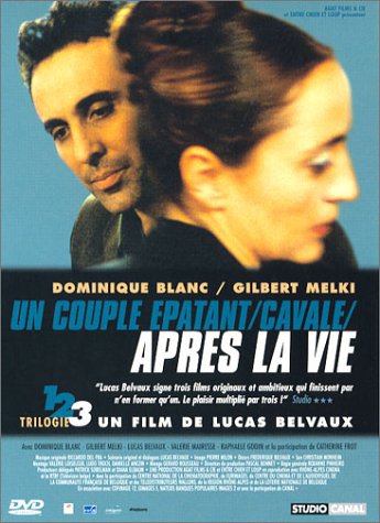 Jaquette dvd de Après la vie  de Lucien Belvaux